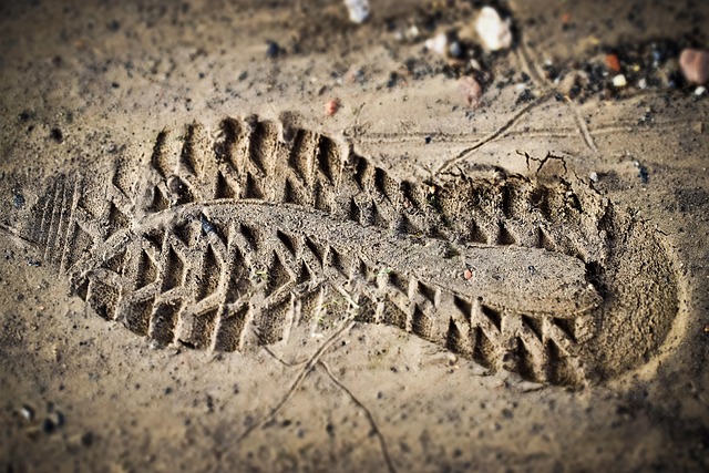 Agent's trace